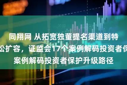 同翔网 从拓宽独董提名渠道到特别代表人诉讼扩容，证监会17个案例解码投资者保护升级路径