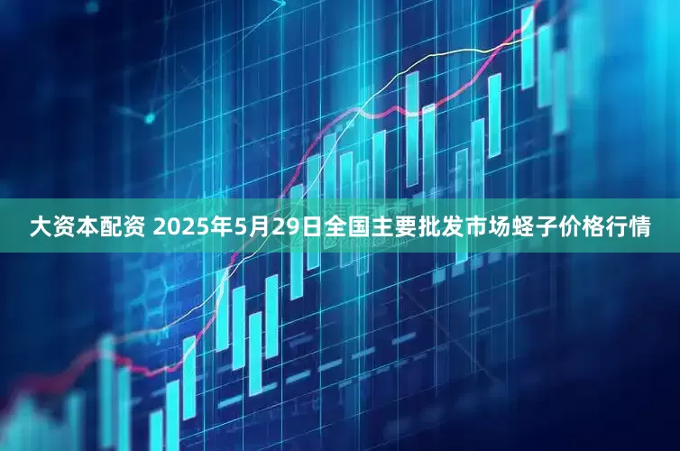 大资本配资 2025年5月29日全国主要批发市场蛏子价格行情