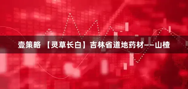 壹策略 【灵草长白】吉林省道地药材——山楂